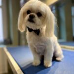 624682166 1495093232618930 7821484293153844163 n