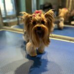 627278450 1503418668453053 7071327530856194024 n