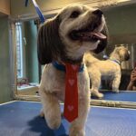 630194340 1503418641786389 2939521890889755150 n