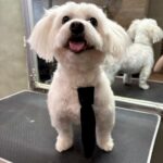 631088326 1508200897974830 6645539081591377154 n