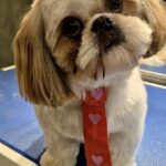 631317958 1506288194832767 8175882330846195211 n