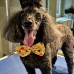 631546033 1505009948293925 8530840585529508055 n