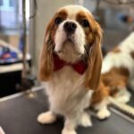 631577918 1508200781308175 1002776699801681976 n