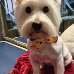 631665925 1507158421412411 4394003183007444815 n