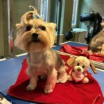 631699044 1507158438079076 6790811852795491978 n