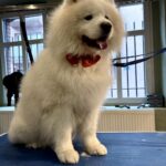 632469187 1508200847974835 7451505012471520991 n