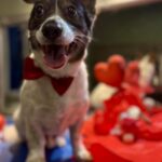 632800750 1510048674456719 3262510499413504624 n