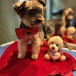 632831604 1507158434745743 2388076719610838156 n