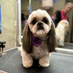 632854515 1508200804641506 9053420512312208108 n