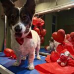 633023863 1510048717790048 1008013072585620435 n