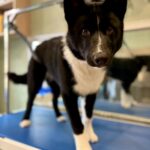 637114068 1514790177315902 3702082253831388180 n