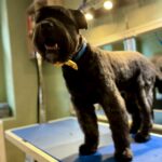 637267358 1514790200649233 452845462097078147 n