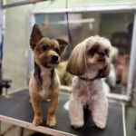 637593273 1513908344070752 8763958760895426881 n