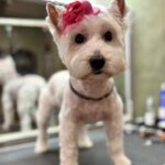 642372158 1521431049985148 7878651788094531603 n