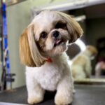 642832938 1523258803135706 3842364573764644868 n