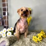 647122213 1530109032450683 5440357956586797555 n