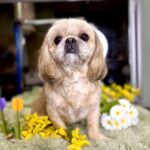 648543957 1531816622279924 4651065151037220976 n