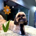 650362044 1535857155209204 474794103346715659 n