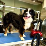 650747753 1535431335251786 2668822202972903366 n