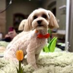 651811975 1538984028229850 805432278104298388 n