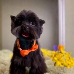 653901013 1541859314608988 6935936616483497372 n