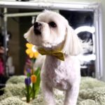 656683003 1541859341275652 2005702458918132596 n