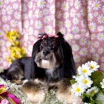 660085978 1548497383945181 4061316438755039901 n